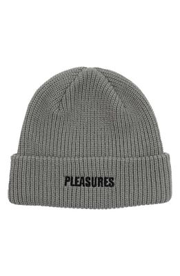 PLEASURES Everyday Logo Embroidered Beanie in Grey