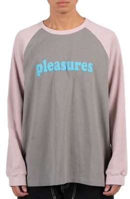 PLEASURES Intercourse Colorblock Cotton Graphic T-Shirt in Grey
