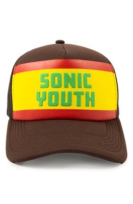 PLEASURES Sonic Youth Baseball Cap in Brown