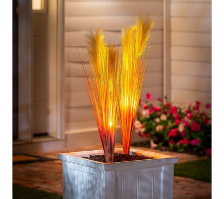 Plow & Hearth Set of 2 Lit Faux Pampas Grass Stakes