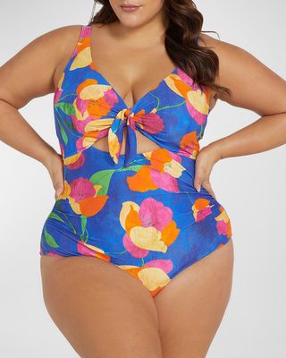 Plus Size Au Contraire Cezanne One-Piece Swimsuit