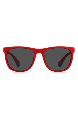 Polaroid 49mm Polarized Square Sunglasses in Red Blue/Gray Pz