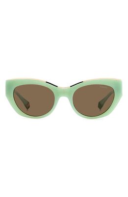Polaroid 50mm Polarized Cat Eye Sunglasses in Green/Bronze Polar