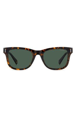 Polaroid 51mm Polarized Square Sunglasses in Havana/Green Polarized 