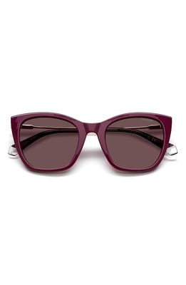 Polaroid 52mm Polarized Cat Eye Sunglasses in Violet/Violet Polarized