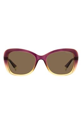 Polaroid 53mm Polarized Cat Eye Sunglasses in Violet Beige/Bronze Polarized