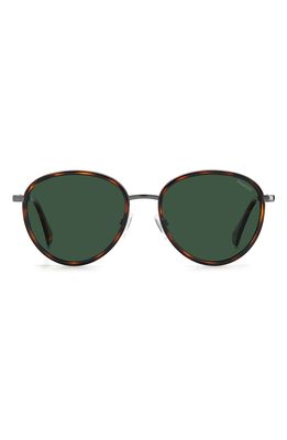 Polaroid 53mm Polarized Round Sunglasses in Dark Havana /Green Polar