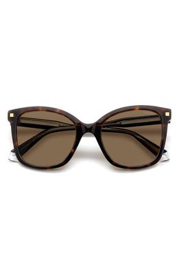 Polaroid 53mm Polarized Square Sunglasses in Havana/Bronze Polar 