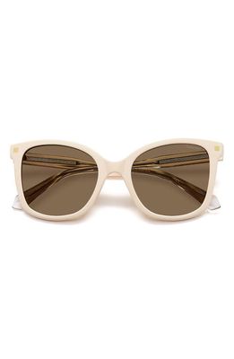 Polaroid 53mm Polarized Square Sunglasses in Ivory/Bronze Polar