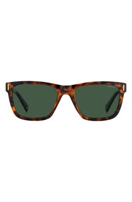 Polaroid 54mm Polarized Square Sunglasse in Havana/Green Polar