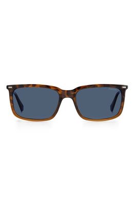 Polaroid 55mm Polarized Rectangular Sunglasses in Havana Brown /Blue Polar 