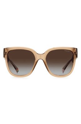 Polaroid 55mm Polarized Square Sunglasses in Beige /Brown Grad Polz
