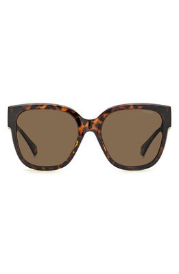 Polaroid 55mm Polarized Square Sunglasses in Havana /Bronze Polar 