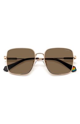 Polaroid 56mm Polarized Square Sunglasses in Gold Copper/Bronze Polar