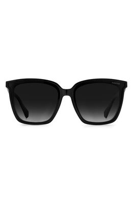 Polaroid 64mm Polarized Square Sunglasses in Black /Gray Sf Pz