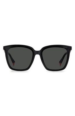 Polaroid 64mm Polarized Square Sunglasses in Matte Black /Gray Pz