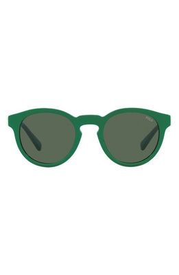 Polo Ralph Lauren 49mm Round Sunglasses in Green