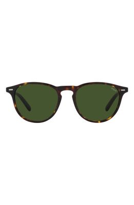 Polo Ralph Lauren 51mm Phantos Sunglasses in Green