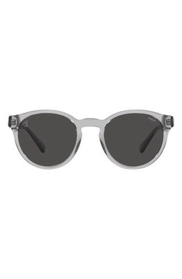 Polo Ralph Lauren 51mm Round Sunglasses in Dark Grey