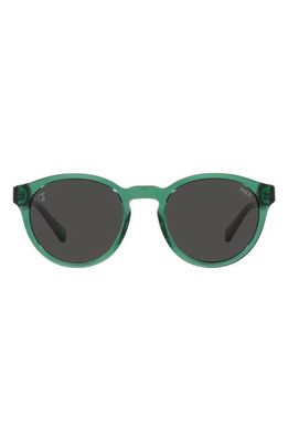 Polo Ralph Lauren 51mm Round Sunglasses in Green