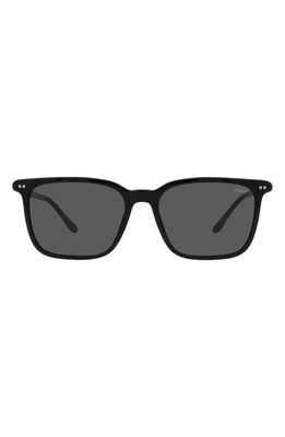 Polo Ralph Lauren 56mm Square Sunglasses in Shiny Black