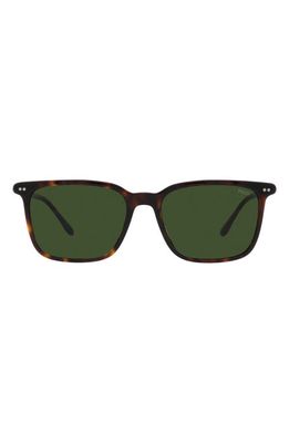 Polo Ralph Lauren 56mm Square Sunglasses in Shiny Havana