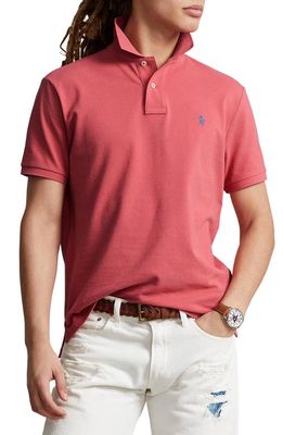 Polo Ralph Lauren Cotton Polo in Red/Blu Pp