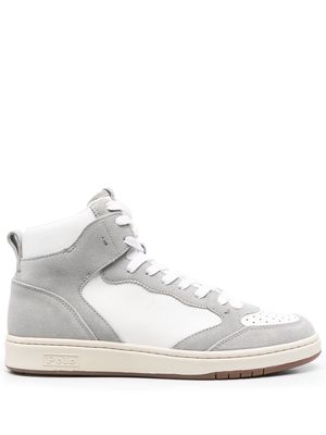 Polo Ralph Lauren Court hi-top suede sneakers - White