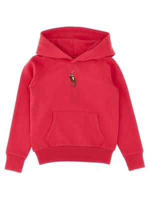 Polo Ralph Lauren logo-embroidered hoodie