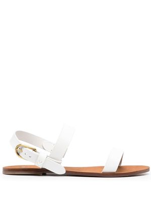 Polo Ralph Lauren strappy leather sandals - White