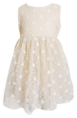 Popatu Embroidered Floral Tulle Dress in Ivory