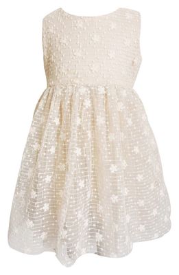 Popatu Kids' Floral Embroidered Tulle Overlay Dress in Ivory