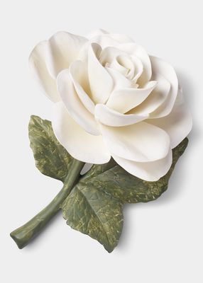 Porcelain Rose, Cream