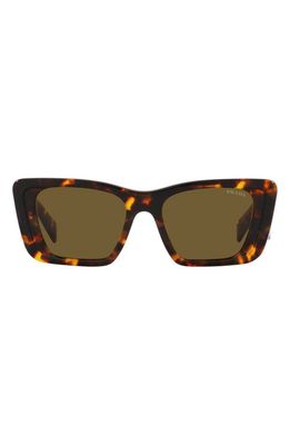Prada 51mm Butterfly Sunglasses in Dark Brown