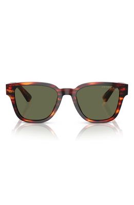 Prada 52mm Polarized Pillow Sunglasses in Havana Red