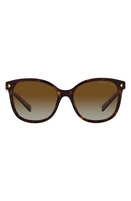 Prada 53mm Gradient Polarized Square Sunglasses in Tortoise