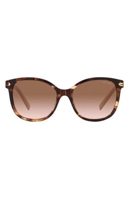 Prada 53mm Gradient Square Sunglasses in Brown Tortus