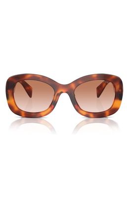 Prada 54mm Oval Gradient Sunglasses in Brown Grad