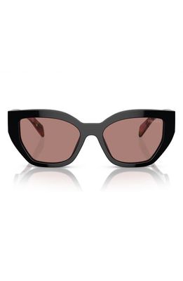 Prada 55mm Butterfly Sunglasses in Lite Brown