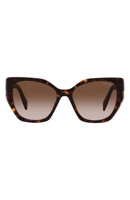 Prada 56mm Cat Eye Sunglasses in Tortoise