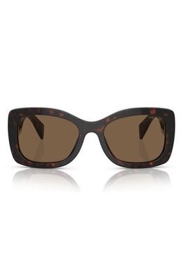 Prada 56mm Oval Sunglasses in Dark Brown