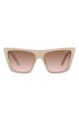 Prada 56mm Square Sunglasses in Brown Grad
