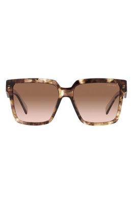 Prada 56mm Square Sunglasses in Brown Tort