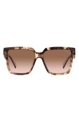 Prada 57mm Square Sunglasses in Brown Tort