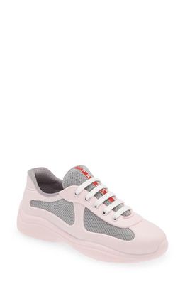 Prada America's Cup Sneaker in Alabaster Pink/Grey