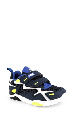 Primigi Low Top Sneaker in Navy/Blue/White