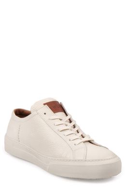 Project TWLV Borg Low Top Sneaker in Cream