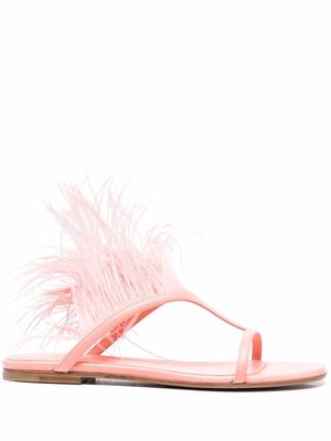 PUCCI feather-trim slip-on sandals - Pink