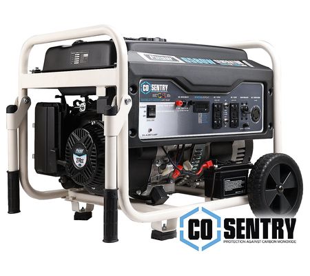 Pulsar 6580 Watt Gas Powered Generator with CO Sentry