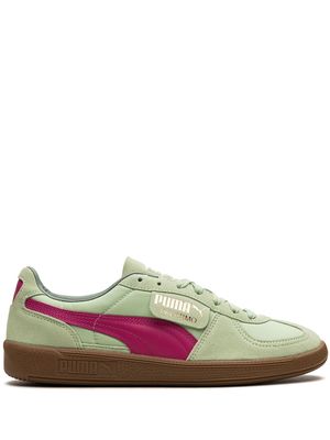 PUMA Palermo OG "Light Mint/Orchid Shadow/Gum" sneakers - Green